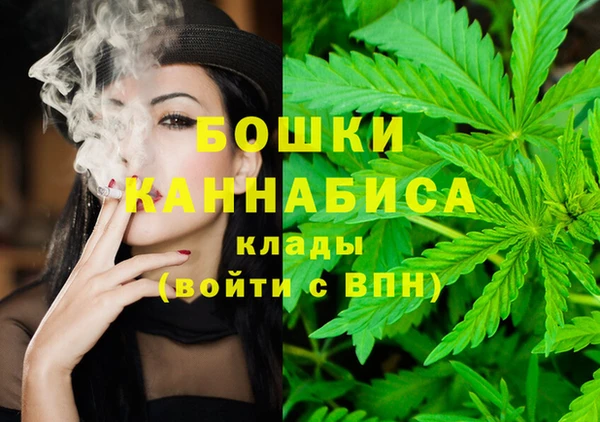 PSILOCYBIN Балабаново