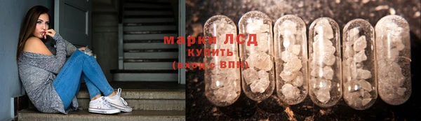 трава Осинники