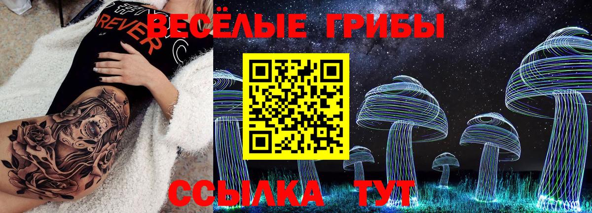 закладки  Псилоцибиновые грибы Cubensis  Вход с VPN  Полевской  Псилоцибиновые грибы мицелий 