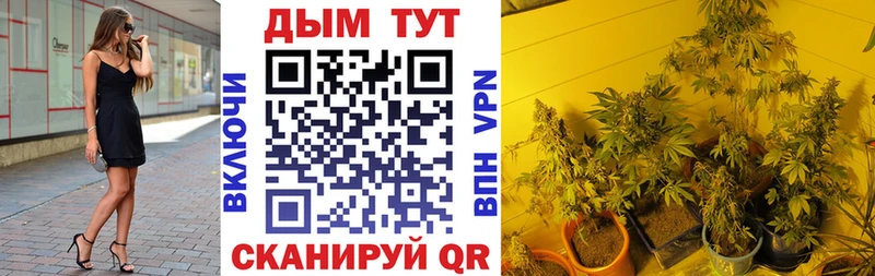 Каннабис семена  купить наркотики сайты  сайты даркнета формула  Полевской  ОМГ ОМГ tor 